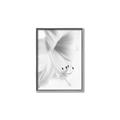 Picture of White Floral Hues _GroupedProduct_Rectangle_Portrait_Photography _GroupedProduct_Rectangle_Portrait_Canvas_Framed_