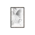 Picture of White Floral Hues _GroupedProduct_Rectangle_Portrait_Photography _GroupedProduct_Rectangle_Portrait_Canvas_Framed_
