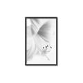 Picture of White Floral Hues _GroupedProduct_Rectangle_Portrait_Photography _GroupedProduct_Rectangle_Portrait_Canvas_Framed_