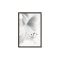 Picture of White Floral Hues _GroupedProduct_Rectangle_Portrait_Photography _GroupedProduct_Rectangle_Portrait_Canvas_Framed_