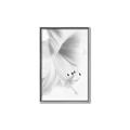Picture of White Floral Hues _GroupedProduct_Rectangle_Portrait_Photography _GroupedProduct_Rectangle_Portrait_Canvas_Framed_