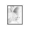 Picture of White Floral Hues _GroupedProduct_Rectangle_Portrait_Photography _GroupedProduct_Rectangle_Portrait_Canvas_Framed_