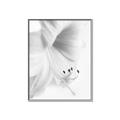 Picture of White Floral Hues _GroupedProduct_Rectangle_Portrait_Photography _GroupedProduct_Rectangle_Portrait_Canvas_Framed_