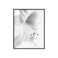 Picture of White Floral Hues _GroupedProduct_Rectangle_Portrait_Photography _GroupedProduct_Rectangle_Portrait_Canvas_Framed_