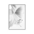 Picture of White Floral Hues _GroupedProduct_Rectangle_Portrait_Photography _GroupedProduct_Rectangle_Portrait_Canvas_Framed_