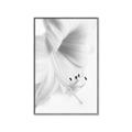 Picture of White Floral Hues _GroupedProduct_Rectangle_Portrait_Photography _GroupedProduct_Rectangle_Portrait_Canvas_Framed_