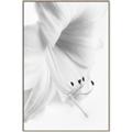 Picture of White Floral Hues _GroupedProduct_Rectangle_Portrait_Photography _GroupedProduct_Rectangle_Portrait_Canvas_Framed_