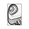 Picture of The Spiral _GroupedProduct_Rectangle_Portrait_Photography _GroupedProduct_Rectangle_Portrait_Canvas_Framed_
