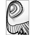 Picture of The Spiral _GroupedProduct_Rectangle_Portrait_Photography _GroupedProduct_Rectangle_Portrait_Canvas_Framed_