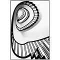 Picture of The Spiral _GroupedProduct_Rectangle_Portrait_Photography _GroupedProduct_Rectangle_Portrait_Canvas_Framed_