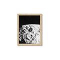 Picture of Moon Landing _GroupedProduct_Rectangle_Portrait_Photography _GroupedProduct_Rectangle_Portrait_Framed_Matted_