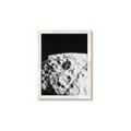 Picture of Moon Landing _GroupedProduct_Rectangle_Portrait_Photography _GroupedProduct_Rectangle_Portrait_Framed_Matted_