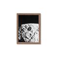 Picture of Moon Landing _GroupedProduct_Rectangle_Portrait_Photography _GroupedProduct_Rectangle_Portrait_Framed_Matted_