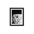 Picture of Moon Landing _GroupedProduct_Rectangle_Portrait_Photography _GroupedProduct_Rectangle_Portrait_Framed_Matted_