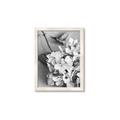 Picture of The Flowers He Gave _GroupedProduct_Rectangle_Portrait_Photography _GroupedProduct_Rectangle_Portrait_Framed_Matted_