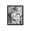 Picture of The Flowers He Gave _GroupedProduct_Rectangle_Portrait_Photography _GroupedProduct_Rectangle_Portrait_Framed_Matted_