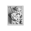 Picture of The Flowers He Gave _GroupedProduct_Rectangle_Portrait_Photography _GroupedProduct_Rectangle_Portrait_Framed_Matted_