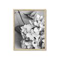 Picture of The Flowers He Gave _GroupedProduct_Rectangle_Portrait_Photography _GroupedProduct_Rectangle_Portrait_Framed_Matted_