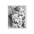Picture of The Flowers He Gave _GroupedProduct_Rectangle_Portrait_Photography _GroupedProduct_Rectangle_Portrait_Framed_Matted_