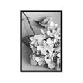 Picture of The Flowers He Gave _GroupedProduct_Rectangle_Portrait_Photography _GroupedProduct_Rectangle_Portrait_Framed_Matted_