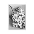 Picture of The Flowers He Gave _GroupedProduct_Rectangle_Portrait_Photography _GroupedProduct_Rectangle_Portrait_Framed_Matted_