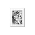 Picture of The Flowers He Gave _GroupedProduct_Rectangle_Portrait_Photography _GroupedProduct_Rectangle_Portrait_Framed_Matted_