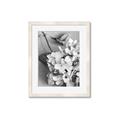 Picture of The Flowers He Gave _GroupedProduct_Rectangle_Portrait_Photography _GroupedProduct_Rectangle_Portrait_Framed_Matted_