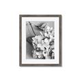 Picture of The Flowers He Gave _GroupedProduct_Rectangle_Portrait_Photography _GroupedProduct_Rectangle_Portrait_Framed_Matted_