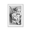 Picture of The Flowers He Gave _GroupedProduct_Rectangle_Portrait_Photography _GroupedProduct_Rectangle_Portrait_Framed_Matted_
