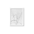 Picture of Whispering Mirage Dried Grass _GroupedProduct_Rectangle_Portrait_Photography _GroupedProduct_Rectangle_Portrait_Framed_Matted_