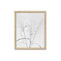 Picture of Whispering Mirage Dried Grass _GroupedProduct_Rectangle_Portrait_Photography _GroupedProduct_Rectangle_Portrait_Framed_Matted_
