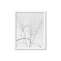 Picture of Whispering Mirage Dried Grass _GroupedProduct_Rectangle_Portrait_Photography _GroupedProduct_Rectangle_Portrait_Framed_Matted_