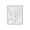 Picture of Whispering Mirage Dried Grass _GroupedProduct_Rectangle_Portrait_Photography _GroupedProduct_Rectangle_Portrait_Framed_Matted_