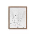 Picture of Whispering Mirage Dried Grass _GroupedProduct_Rectangle_Portrait_Photography _GroupedProduct_Rectangle_Portrait_Framed_Matted_