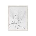 Picture of Whispering Mirage Dried Grass _GroupedProduct_Rectangle_Portrait_Photography _GroupedProduct_Rectangle_Portrait_Framed_Matted_