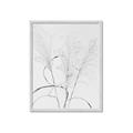Picture of Whispering Mirage Dried Grass _GroupedProduct_Rectangle_Portrait_Photography _GroupedProduct_Rectangle_Portrait_Framed_Matted_