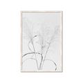 Picture of Whispering Mirage Dried Grass _GroupedProduct_Rectangle_Portrait_Photography _GroupedProduct_Rectangle_Portrait_Framed_Matted_