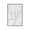 Picture of Whispering Mirage Dried Grass _GroupedProduct_Rectangle_Portrait_Photography _GroupedProduct_Rectangle_Portrait_Framed_Matted_