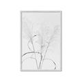 Picture of Whispering Mirage Dried Grass _GroupedProduct_Rectangle_Portrait_Photography _GroupedProduct_Rectangle_Portrait_Framed_Matted_