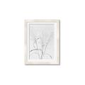 Picture of Whispering Mirage Dried Grass _GroupedProduct_Rectangle_Portrait_Photography _GroupedProduct_Rectangle_Portrait_Framed_Matted_