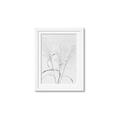 Picture of Whispering Mirage Dried Grass _GroupedProduct_Rectangle_Portrait_Photography _GroupedProduct_Rectangle_Portrait_Framed_Matted_