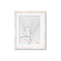 Picture of Whispering Mirage Dried Grass _GroupedProduct_Rectangle_Portrait_Photography _GroupedProduct_Rectangle_Portrait_Framed_Matted_