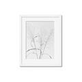 Picture of Whispering Mirage Dried Grass _GroupedProduct_Rectangle_Portrait_Photography _GroupedProduct_Rectangle_Portrait_Framed_Matted_