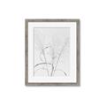 Picture of Whispering Mirage Dried Grass _GroupedProduct_Rectangle_Portrait_Photography _GroupedProduct_Rectangle_Portrait_Framed_Matted_
