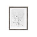 Picture of Whispering Mirage Dried Grass _GroupedProduct_Rectangle_Portrait_Photography _GroupedProduct_Rectangle_Portrait_Framed_Matted_