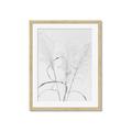Picture of Whispering Mirage Dried Grass _GroupedProduct_Rectangle_Portrait_Photography _GroupedProduct_Rectangle_Portrait_Framed_Matted_