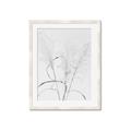 Picture of Whispering Mirage Dried Grass _GroupedProduct_Rectangle_Portrait_Photography _GroupedProduct_Rectangle_Portrait_Framed_Matted_