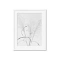 Picture of Whispering Mirage Dried Grass _GroupedProduct_Rectangle_Portrait_Photography _GroupedProduct_Rectangle_Portrait_Framed_Matted_