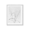 Picture of Whispering Mirage Dried Grass _GroupedProduct_Rectangle_Portrait_Photography _GroupedProduct_Rectangle_Portrait_Framed_Matted_