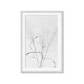 Picture of Whispering Mirage Dried Grass _GroupedProduct_Rectangle_Portrait_Photography _GroupedProduct_Rectangle_Portrait_Framed_Matted_